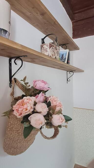 La Casina Apartment Capodimonte Luaran gambar